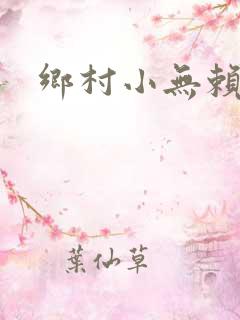 乡村小无赖小说