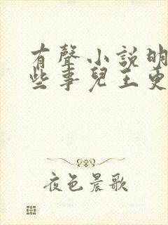 有声小说明朝那些事儿王更新