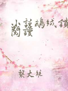 小说鹅绒锁全文阅读