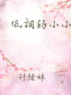 低调的小小宫女