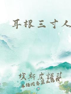 耳根三寸人间