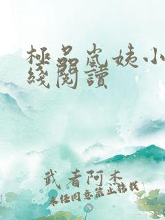 极品岚姨小说在线阅读