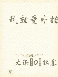 我就爱外挂
