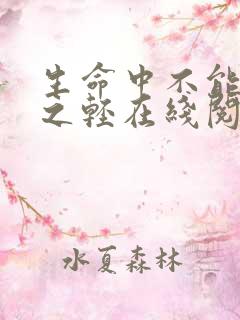 生命中不能承受之轻在线阅读