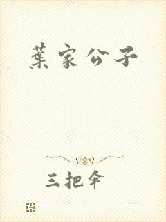 叶家公子