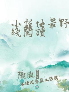 小说他最野了在线阅读