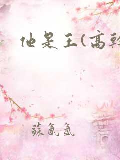 他是王(高干)