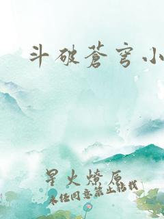斗破苍穹小说