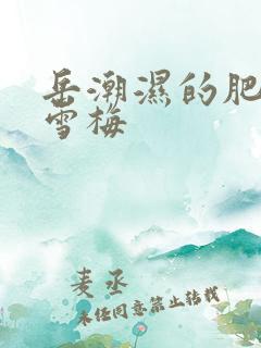 岳潮湿的肥厚李雪梅