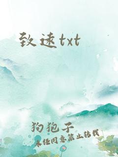 致远txt