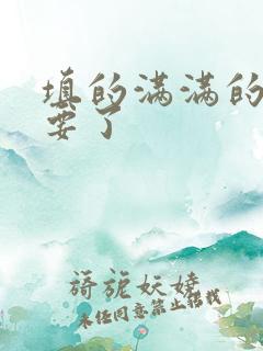 填的满满的 不要了