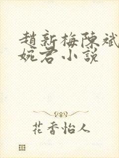 赵新梅陈斌,高婉君小说
