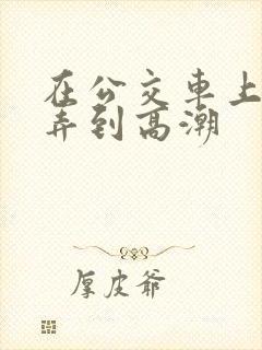 在公交车上被人弄到高潮
