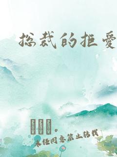 总裁的拒爱前妻