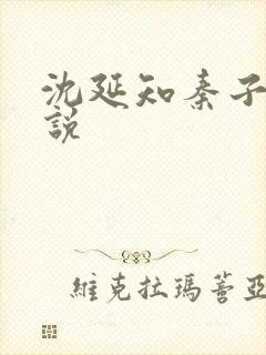沈延知秦子卿小说