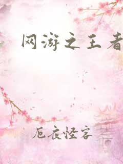 网游之王者天下