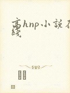 高hnp小说在线