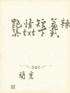艳情短篇辣文合集txt下载