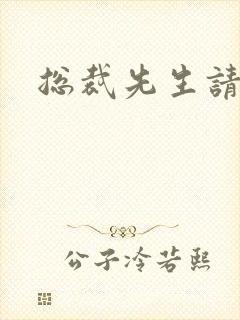 总裁先生请低调