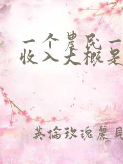 一个农民一年的收入大概是多少