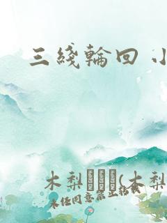 三线轮回 小说