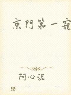 京门第一宠