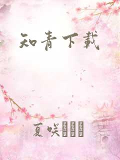 知青下载