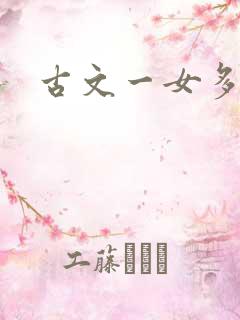 古文一女多男h