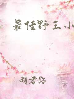 最佳野王小说