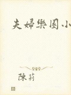 夫妇乐园小说