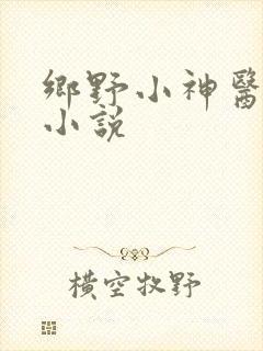 乡野小神医有声小说