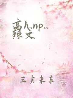 高h.np..辣文