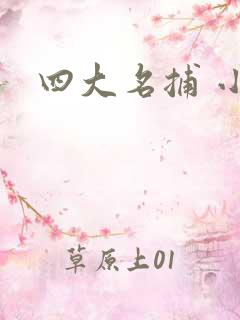 四大名捕 小说