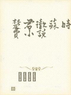 楚君彻苏时锦免费小说