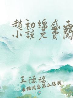 赵初绵盛西舫的小说免费阅读
