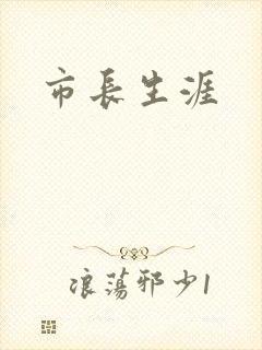 市长生涯