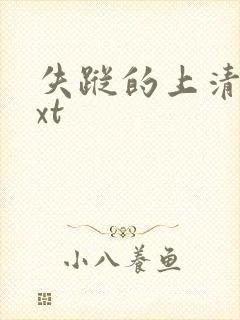失踪的上清寺txt