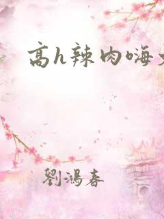 高h辣肉嗨文