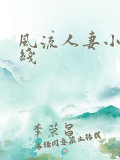 风流人妻小说在线