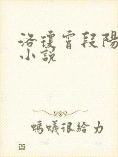 洛琼霄段阳澍的小说