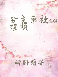 公交车被cao视频
