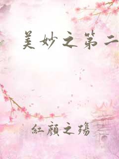 美妙之第二人生