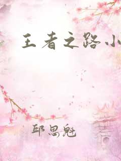 王者之路小说