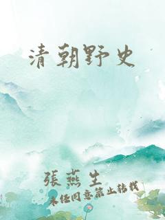 清朝野史