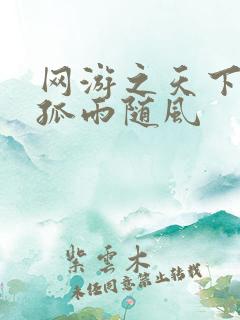 网游之天下无敌孤雨随风