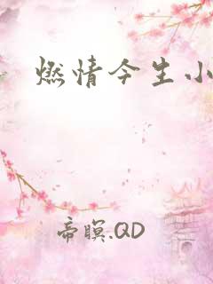 燃情今生小说