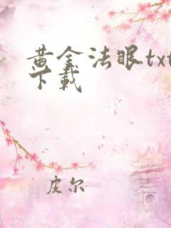 黄金法眼txt下载