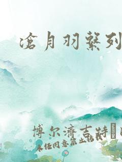 沧月羽系列