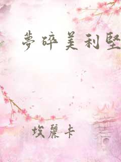 梦碎美利坚