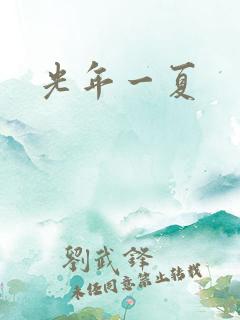 光年一夏